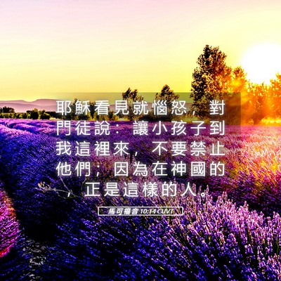 Picture 05 - 馬 可 福 音 10:14 CUVT - 耶 穌 看 見 就 惱 怒 ， 對 門 徒 說 - Bible Verse Picture