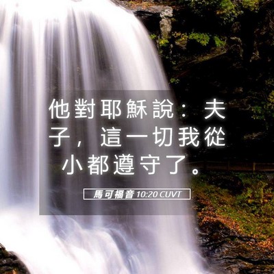 Picture 05 - 馬 可 福 音 10:20 CUVT - 他 對 耶 穌 說 ： 夫 子 ， 這 一 切 - Bible Verse Picture