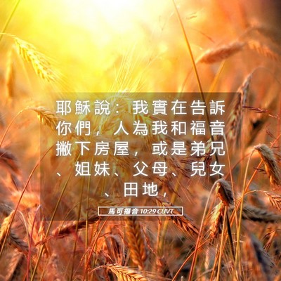 Picture 05 - 馬 可 福 音 10:29 CUVT - 耶 穌 說 ： 我 實 在 告 訴 你 們 ， - Bible Verse Picture