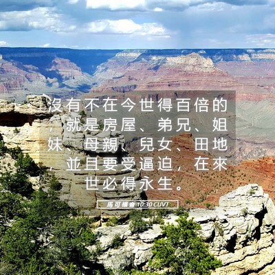 Picture 05 - 馬 可 福 音 10:30 CUVT - 沒 有 不 在 今 世 得 百 倍 的 ， 就 - Bible Verse Picture