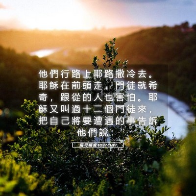 Picture 05 - 馬 可 福 音 10:32 CUVT - 他 們 行 路 上 耶 路 撒 冷 去 。 耶 - Bible Verse Picture