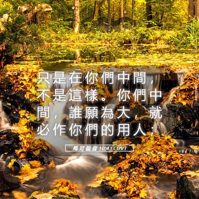 Picture 05 - 馬 可 福 音 10:43 CUVT - 只 是 在 你 們 中 間 ， 不 是 這 樣 - Bible Verse Picture