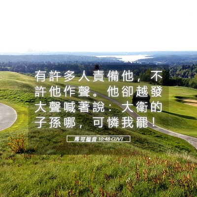 Picture 05 - 馬 可 福 音 10:48 CUVT - 有 許 多 人 責 備 他 ， 不 許 他 作 - Bible Verse Picture