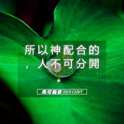 Picture 05 - 馬 可 福 音 10:9 CUVT - 所 以 神 配 合 的 ， 人 不 可 分 開 - Bible Verse Picture