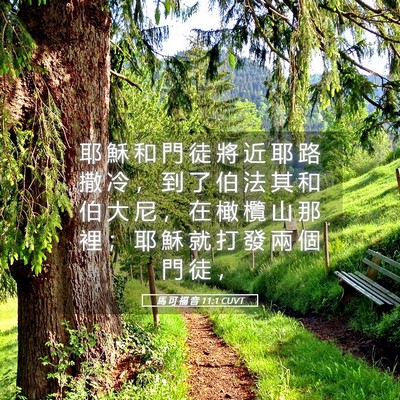 Picture 05 - 馬 可 福 音 11:1 CUVT - 耶 穌 和 門 徒 將 近 耶 路 撒 冷 ， - Bible Verse Picture