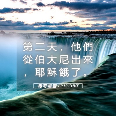 Picture 05 - 馬 可 福 音 11:12 CUVT - 第 二 天 ， 他 們 從 伯 大 尼 出 來 - Bible Verse Picture