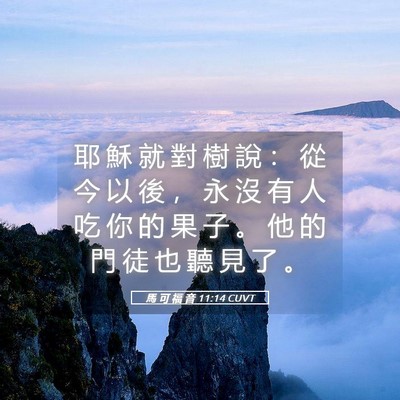 Picture 05 - 馬 可 福 音 11:14 CUVT - 耶 穌 就 對 樹 說 ： 從 今 以 後 ， - Bible Verse Picture