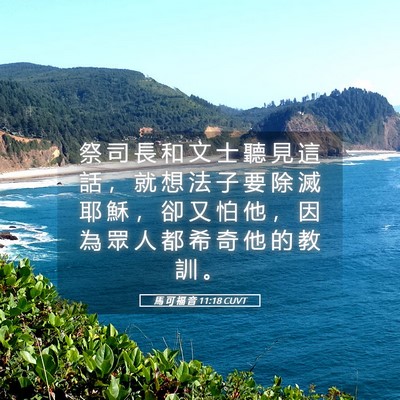Picture 05 - 馬 可 福 音 11:18 CUVT - 祭 司 長 和 文 士 聽 見 這 話 ， 就 - Bible Verse Picture