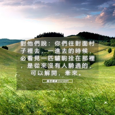 Picture 05 - 馬 可 福 音 11:2 CUVT - 對 他 們 說 ： 你 們 往 對 面 村 子 - Bible Verse Picture