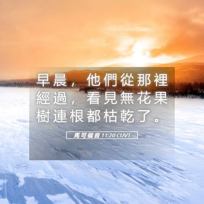Picture 05 - 馬 可 福 音 11:20 CUVT - 早 晨 ， 他 們 從 那 裡 經 過 ， 看 - Bible Verse Picture