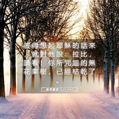 Picture 05 - 馬 可 福 音 11:21 CUVT - 彼 得 想 起 耶 穌 的 話 來 ， 就 對 - Bible Verse Picture