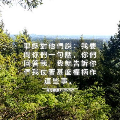 Picture 05 - 馬 可 福 音 11:29 CUVT - 耶 穌 對 他 們 說 ： 我 要 問 你 們 - Bible Verse Picture