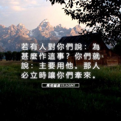 Picture 05 - 馬 可 福 音 11:3 CUVT - 若 有 人 對 你 們 說 ： 為 甚 麼 作 - Bible Verse Picture