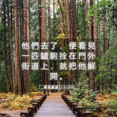 Picture 05 - 馬 可 福 音 11:4 CUVT - 他 們 去 了 ， 便 看 見 一 匹 驢 駒 - Bible Verse Picture