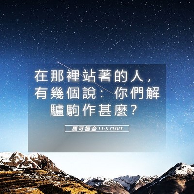 Picture 05 - 馬 可 福 音 11:5 CUVT - 在 那 裡 站 著 的 人 ， 有 幾 個 說 - Bible Verse Picture