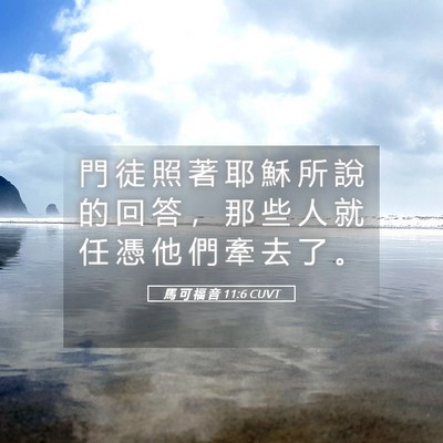 Picture 05 - 馬 可 福 音 11:6 CUVT - 門 徒 照 著 耶 穌 所 說 的 回 答 ， - Bible Verse Picture