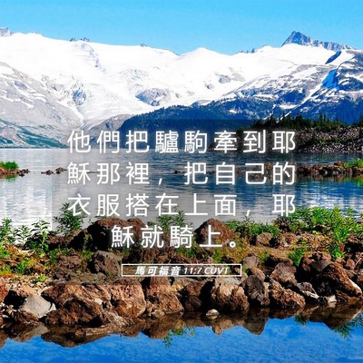 Picture 05 - 馬 可 福 音 11:7 CUVT - 他 們 把 驢 駒 牽 到 耶 穌 那 裡 ， - Bible Verse Picture