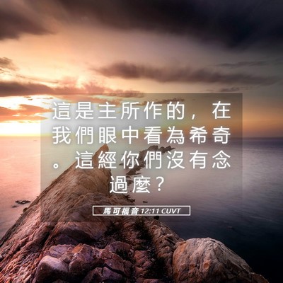 Picture 05 - 馬 可 福 音 12:11 CUVT - 這 是 主 所 作 的 ， 在 我 們 眼 中 - Bible Verse Picture