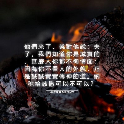Picture 05 - 馬 可 福 音 12:14 CUVT - 他 們 來 了 ， 就 對 他 說 ： 夫 子 - Bible Verse Picture