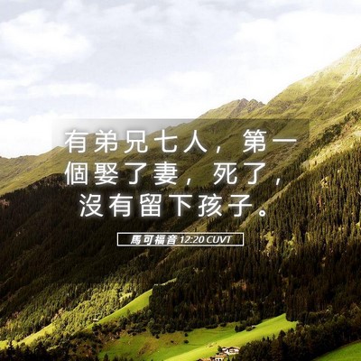 Picture 05 - 馬 可 福 音 12:20 CUVT - 有 弟 兄 七 人 ， 第 一 個 娶 了 妻 - Bible Verse Picture