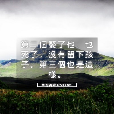 Picture 05 - 馬 可 福 音 12:21 CUVT - 第 二 個 娶 了 他 ， 也 死 了 ， 沒 - Bible Verse Picture