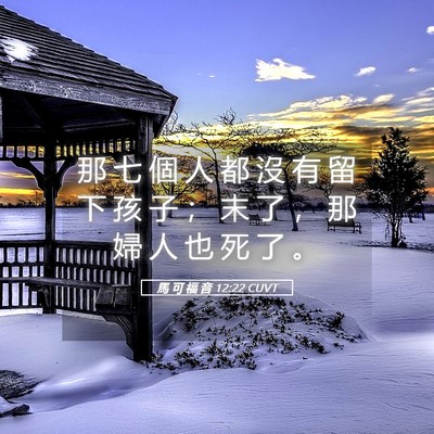 Picture 05 - 馬 可 福 音 12:22 CUVT - 那 七 個 人 都 沒 有 留 下 孩 子 ； - Bible Verse Picture
