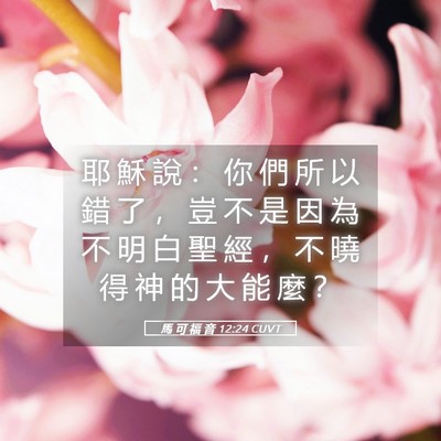 Picture 05 - 馬 可 福 音 12:24 CUVT - 耶 穌 說 ： 你 們 所 以 錯 了 ， 豈 - Bible Verse Picture