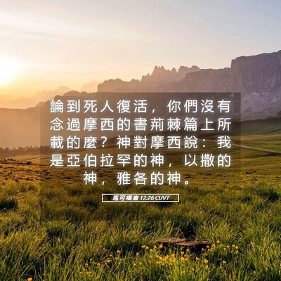 Picture 05 - 馬 可 福 音 12:26 CUVT - 論 到 死 人 復 活 ， 你 們 沒 有 念 - Bible Verse Picture