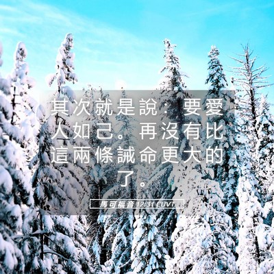 Picture 05 - 馬 可 福 音 12:31 CUVT - 其 次 就 是 說 ： 要 愛 人 如 己 。 - Bible Verse Picture