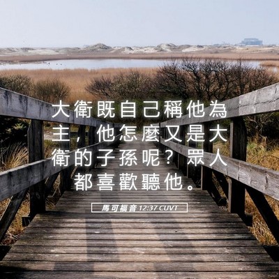 Picture 05 - 馬 可 福 音 12:37 CUVT - 大 衛 既 自 己 稱 他 為 主 ， 他 怎 - Bible Verse Picture