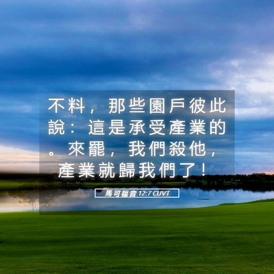 Picture 05 - 馬 可 福 音 12:7 CUVT - 不 料 ， 那 些 園 戶 彼 此 說 ： 這 - Bible Verse Picture