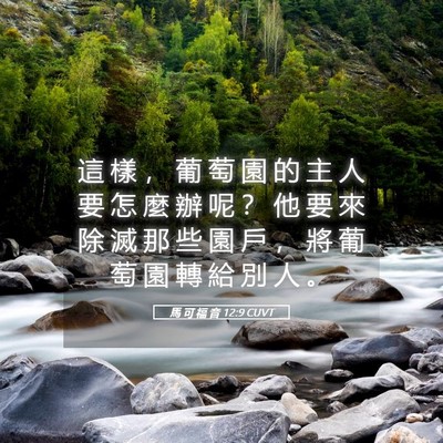Picture 05 - 馬 可 福 音 12:9 CUVT - 這 樣 ， 葡 萄 園 的 主 人 要 怎 麼 - Bible Verse Picture