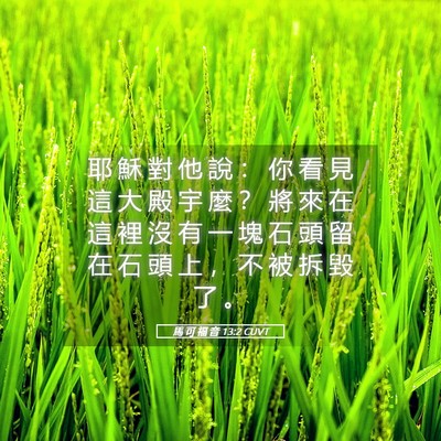 Picture 05 - 馬 可 福 音 13:2 CUVT - 耶 穌 對 他 說 ： 你 看 見 這 大 殿 - Bible Verse Picture