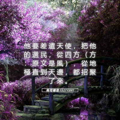 Picture 05 - 馬 可 福 音 13:27 CUVT - 他 要 差 遣 天 使 ， 把 他 的 選 民 - Bible Verse Picture