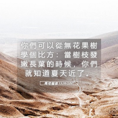 Picture 05 - 馬 可 福 音 13:28 CUVT - 你 們 可 以 從 無 花 果 樹 學 個 比 - Bible Verse Picture