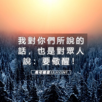 Picture 05 - 馬 可 福 音 13:37 CUVT - 我 對 你 們 所 說 的 話 ， 也 是 對 - Bible Verse Picture