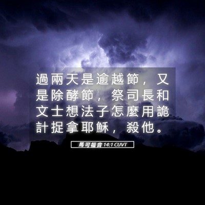 Picture 05 - 馬 可 福 音 14:1 CUVT - 過 兩 天 是 逾 越 節 ， 又 是 除 酵 - Bible Verse Picture