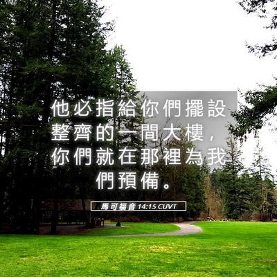 Picture 05 - 馬 可 福 音 14:15 CUVT - 他 必 指 給 你 們 擺 設 整 齊 的 一 - Bible Verse Picture