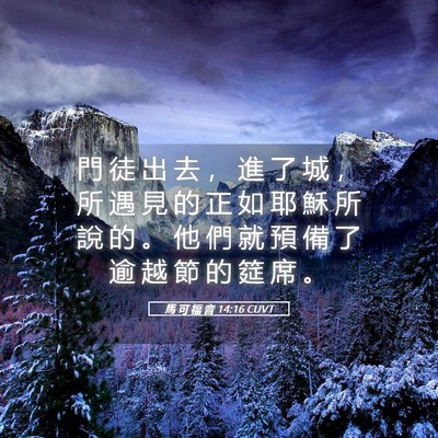 Picture 05 - 馬 可 福 音 14:16 CUVT - 門 徒 出 去 ， 進 了 城 ， 所 遇 見 - Bible Verse Picture