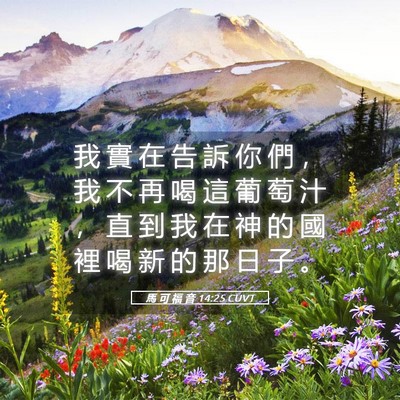 Picture 05 - 馬 可 福 音 14:25 CUVT - 我 實 在 告 訴 你 們 ， 我 不 再 喝 - Bible Verse Picture