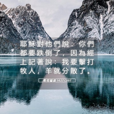 Picture 05 - 馬 可 福 音 14:27 CUVT - 耶 穌 對 他 們 說 ： 你 們 都 要 跌 - Bible Verse Picture