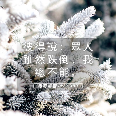 Picture 05 - 馬 可 福 音 14:29 CUVT - 彼 得 說 ： 眾 人 雖 然 跌 倒 ， 我 - Bible Verse Picture