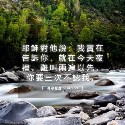 Picture 05 - 馬 可 福 音 14:30 CUVT - 耶 穌 對 他 說 ： 我 實 在 告 訴 你 - Bible Verse Picture
