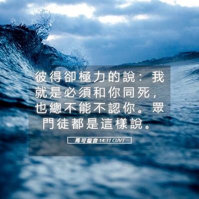 Picture 05 - 馬 可 福 音 14:31 CUVT - 彼 得 卻 極 力 的 說 ： 我 就 是 必 - Bible Verse Picture