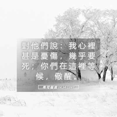 Picture 05 - 馬 可 福 音 14:34 CUVT - 對 他 們 說 ： 我 心 裡 甚 是 憂 傷 - Bible Verse Picture