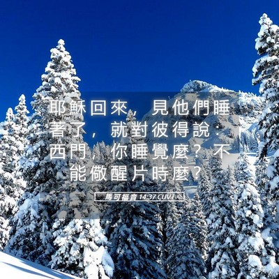 Picture 05 - 馬 可 福 音 14:37 CUVT - 耶 穌 回 來 ， 見 他 們 睡 著 了 ， - Bible Verse Picture