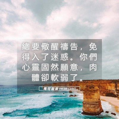 Picture 05 - 馬 可 福 音 14:38 CUVT - 總 要 儆 醒 禱 告 ， 免 得 入 了 迷 - Bible Verse Picture