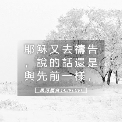 Picture 05 - 馬 可 福 音 14:39 CUVT - 耶 穌 又 去 禱 告 ， 說 的 話 還 是 - Bible Verse Picture