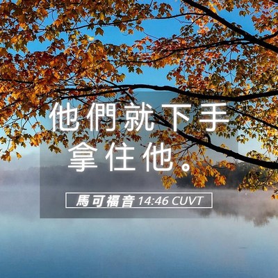 Picture 05 - 馬 可 福 音 14:46 CUVT - 他 們 就 下 手 拿 住 他 - Bible Verse Picture