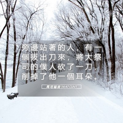 Picture 05 - 馬 可 福 音 14:47 CUVT - 旁 邊 站 著 的 人 ， 有 一 個 拔 出 - Bible Verse Picture